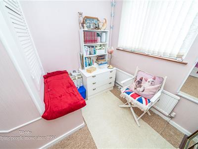 Picture 24